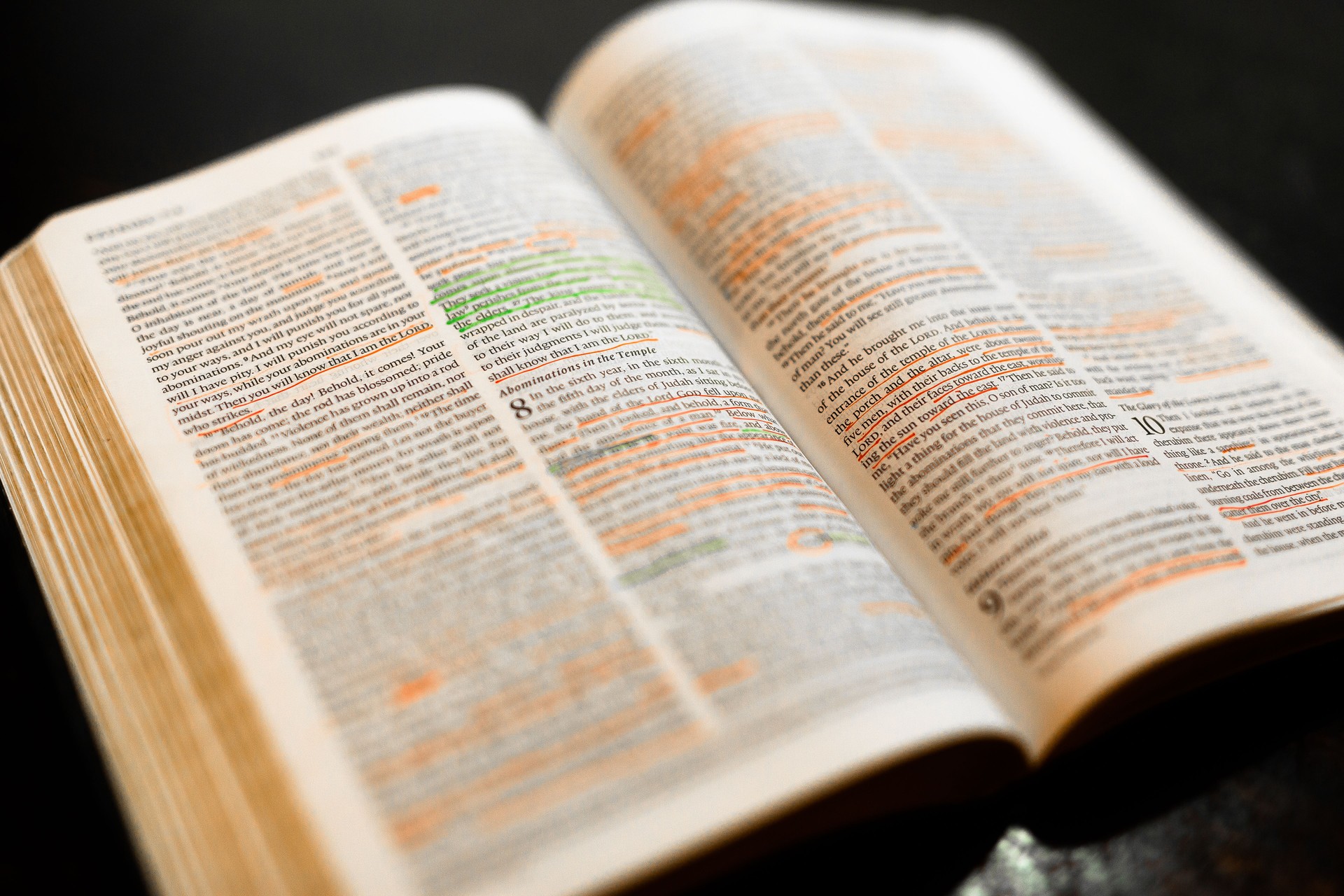 Reading the Bible